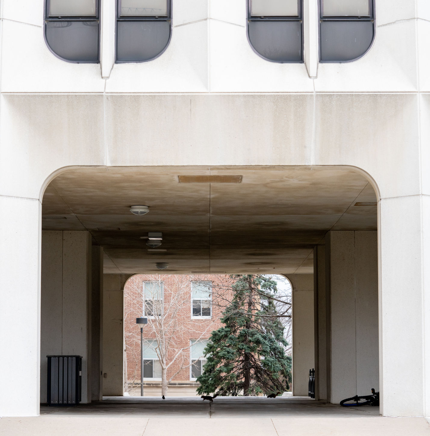 Empty Campus Photo No. 17